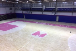 Mega izgradila "fabriku"