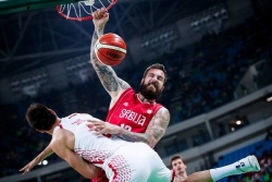Raduljica uni&scaron;tio &Scaron;arića (video)