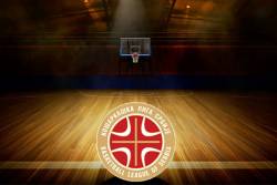 PMLS: Dinamik preplivao Tamiš, Dunav dubok za Vrščane