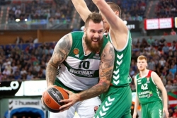 Raduljica nije mogao sam