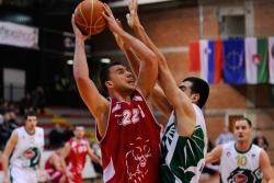 Radetić u Igokei