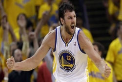 Kengur Bogut