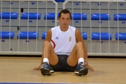 Simović u &Scaron;paniji