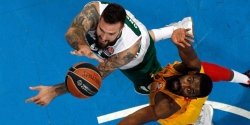 Raduljica sru&scaron;io Barsu
