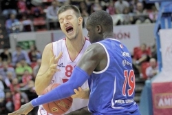 Jelovac zatrpava ko&scaron;eve &scaron;irom Evrope