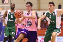 Miljenović kod Radičevića