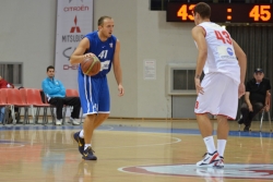 Malina u &Scaron;umadiji
