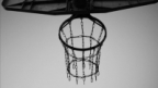 blokovionline's Avatar